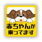 作品【天使のキャバリア】赤ちゃんが乗ってますステッカー