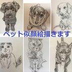 作品～ペット似顔絵描きます～　はがきサイズ白黒鉛筆画になります