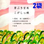 作品もち米粉　『芽ぶき玄米こがしっ娘 』～羽二重餅・大福餅用～　400ｇ　2袋