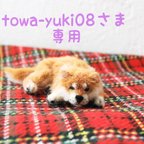 作品手の平わんこ ミニ柴ちゃん🐕ぼくまってるの