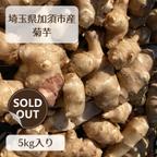 作品菊芋5kg 5キロ 埼玉県加須市 遠藤農園 洗浄済み 産地直送