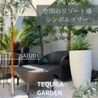 作品【ご予約受付中】NEW シンボルツリー 大型 観葉植物 プランターセット　TEQUILA GARDEN  テキーラガーデン　ドライガーデン　高品質　プランター　鉢