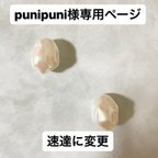 作品punipuni様専用ページ