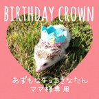 作品【あずもなチョコきなたんママ様専用】ハリネズミ お誕生日 王冠 帽子 クラウン Birthday crown👑×1点