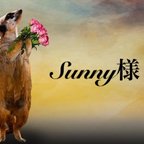 作品Sunny様専用