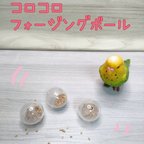 作品コロコロフォージングボール♡　インコ　おもちゃ