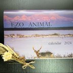 作品EZO ANIMAL calendar2024