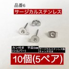 作品サージカルステンレス (10個5ペア)カン付き 平皿5㎜ シルバー