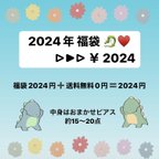 作品🌸 2024年 福袋 🌸 2024円 ピアス