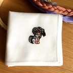 作品手刺繍コットンハンカチ（キャバリア　ブラックタン）