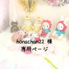 作品🧸honachan22 様 専用ページ🍓✨