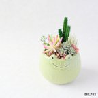 作品【残り1点】カエルの多肉寄せ植えアレンジ【アーティフィシャルフラワー/造花】フェイクグリーン　グリーンインテリア　多肉植物　インテリア雑貨　ギフト　母の日ギフト