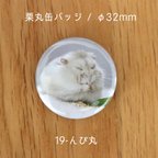 作品栗丸缶バッジ（32mmタイプ）【19-んぴ丸】