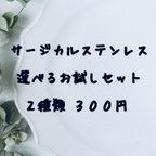 作品サージカルステンレス 選べるお試しセット 2種類