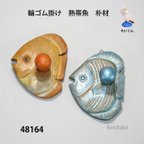 作品48164木製フック　熱帯魚　朴材