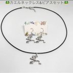 作品カエルアクセサリーセット カエルネックレス カエルピアス 2点セット 丸紐ネックレス イヤリング 