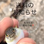 作品送料のお知らせです🐥プロフィール/レターもご覧下さい