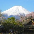 作品世界遺産「富士山と忍野八海の桜」写真 A4又は2L版 額付き