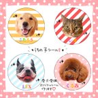 作品♡うちの子シール2♡名入れ　愛犬　愛猫　サンキューシール　ペットシール　オーダー　