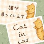 作品Cat in carステッカー | ひょっこりかくれんぼ　ねこ【茶トラ（長毛）】