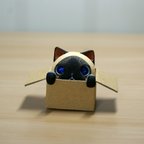 作品おはこっ巣・シャム猫