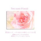 作品Two roses-P/smal　ポスター【写真サイズ、パネル加工をお選びいただけます】