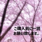 作品ご購入前に必ず一読お願い致します。