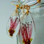 作品bottle brush Earrings