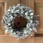 作品atelier blugra八ヶ岳〜ラムズイヤーWreath17cm