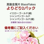 作品真鍮金属片 Brass Flakes よりどり2パック