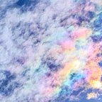 作品彩雲の写真