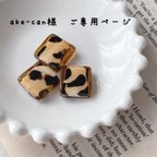 作品ake-can様ご専用ページ