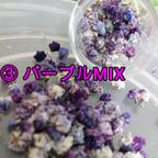 作品【送料込】かすみ草 パープルMIX 50粒