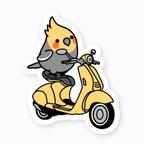 作品防水仕様  バイクに乗ったオカメインコ　ステッカー　スタンダードサイズ PVC厚手素材  貼り直し可 Chubby Bird