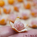 作品  🍊リアル追求🍊（片耳分）ミカン イヤリング･ピアス