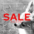 作品SALE！アウトレット！プライスダウン！お買い合わせ！