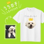 作品うちの子柄★しもべT ペットのお写真でTシャツ  愛犬 猫ちゃん 子供 プレゼント 記念日 誕生日 ギフト ★ティーシャツ 洋服 オーダーメイド 印刷 オリジナル 名入れ 子供 女性 男性 サイズ