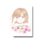 作品オリジナルイラストポストカード 〜コスモス〜