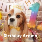 作品ミニ バースデークラウン HAPPY BIRTHDAY《王冠、ベビークラウン、誕生日、バースデー 、記念日、1歳、ペット、あご紐、犬、猫、うさぎ》