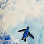 作品空飛ぶペンギン〜A4透明水彩原画〜