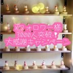 作品フォロワーさん3000人突破キャンペーン！ねこたまさんシングル3300円！！3個ご購入で送料無料！お一人様3個まで！(ガラスドーム付きは＋500円)※ねこたまさんの種類はランダムです