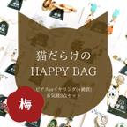 作品4/22(月)0時再販【梅】猫だらけのHAPPY BAG（3点セット）猫ピアス／猫イヤリング／猫雑貨／猫の福袋／by橙猫