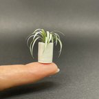 作品ミニチュア陶器　まっすぐな植木鉢と植物