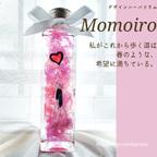 作品『Momoiro』