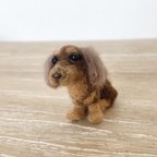 作品羊毛フェルト　犬　チョコタン　ダックスフンド　おすわり