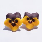 作品Twin×pansy mini ear accessory【yellow×purple】