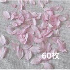 作品2024年　ドライフラワー 乙女桜　花びら 60枚　本物の桜 さくら ピンクの花 素材