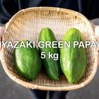 作品【5kg】宮崎グリーンパパイア《酵素の王様＆スーパーフード＆メディカルフルーツ》
