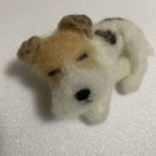 作品羊毛フェルト犬＊ワイヤーフォックステリア＊ハンドメイド