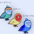 作品コザクラインコチャーム